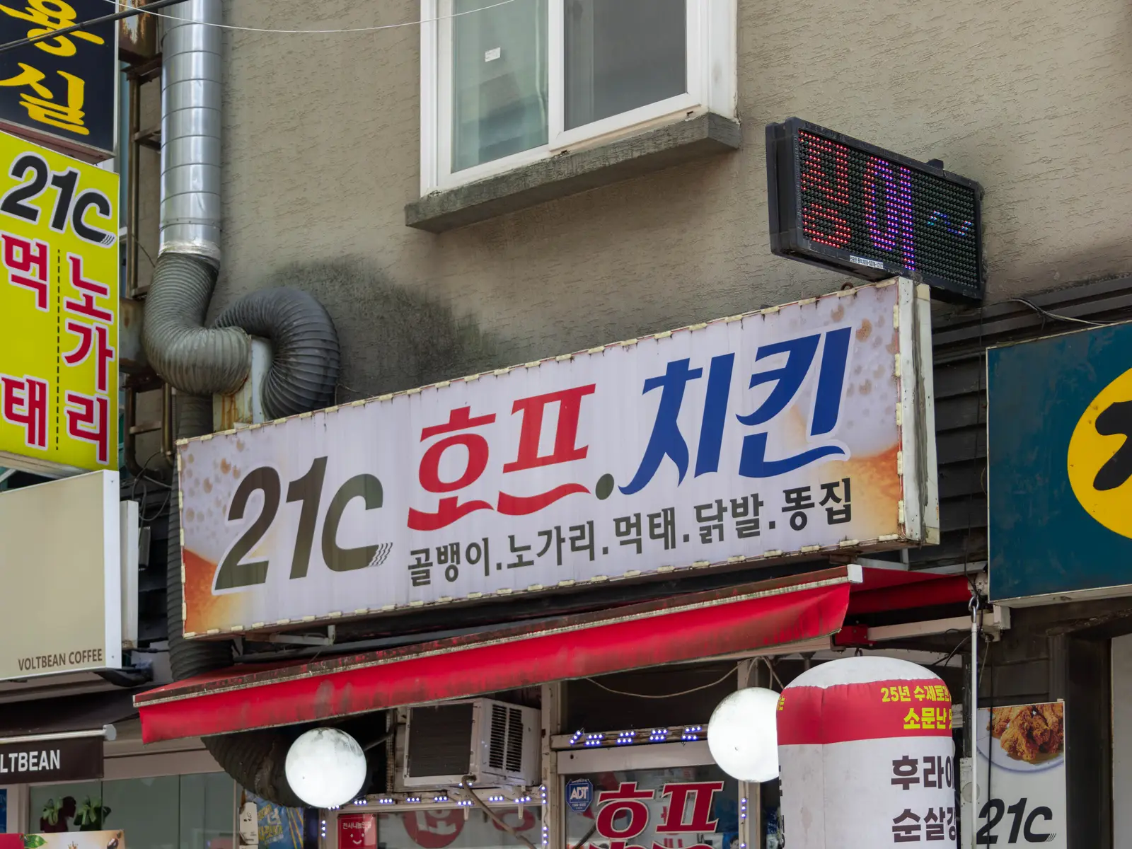 21C호프치킨 사진 4