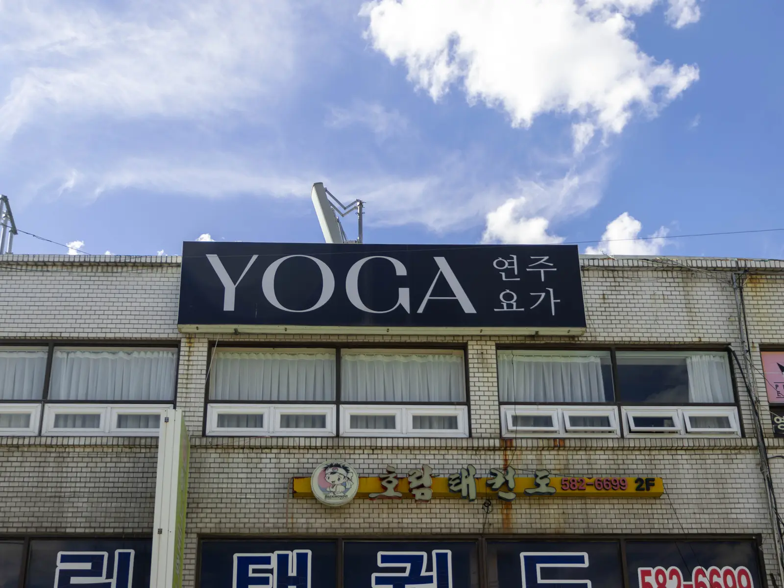 연주요가 사진 2