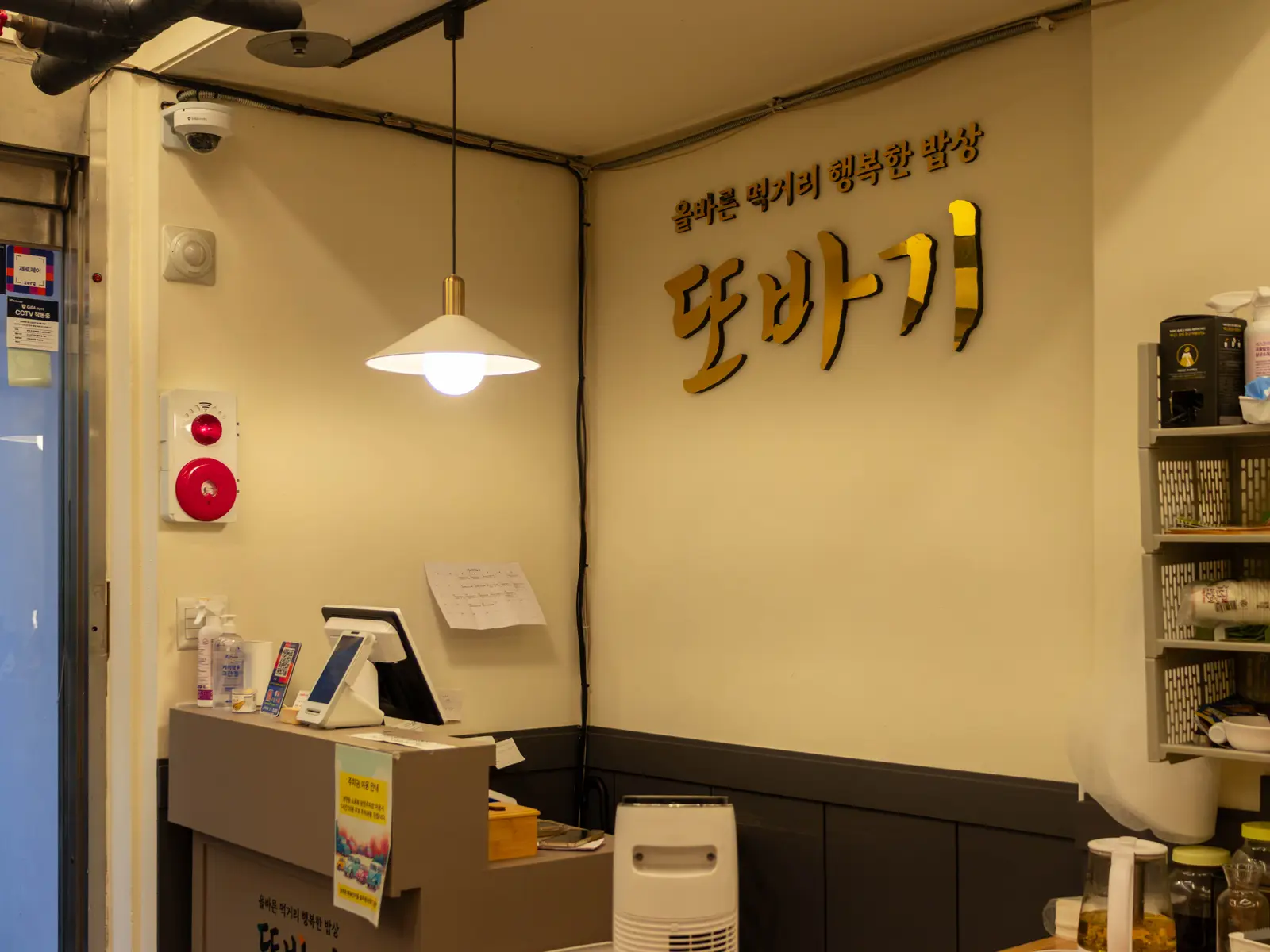 또바기 사진 3