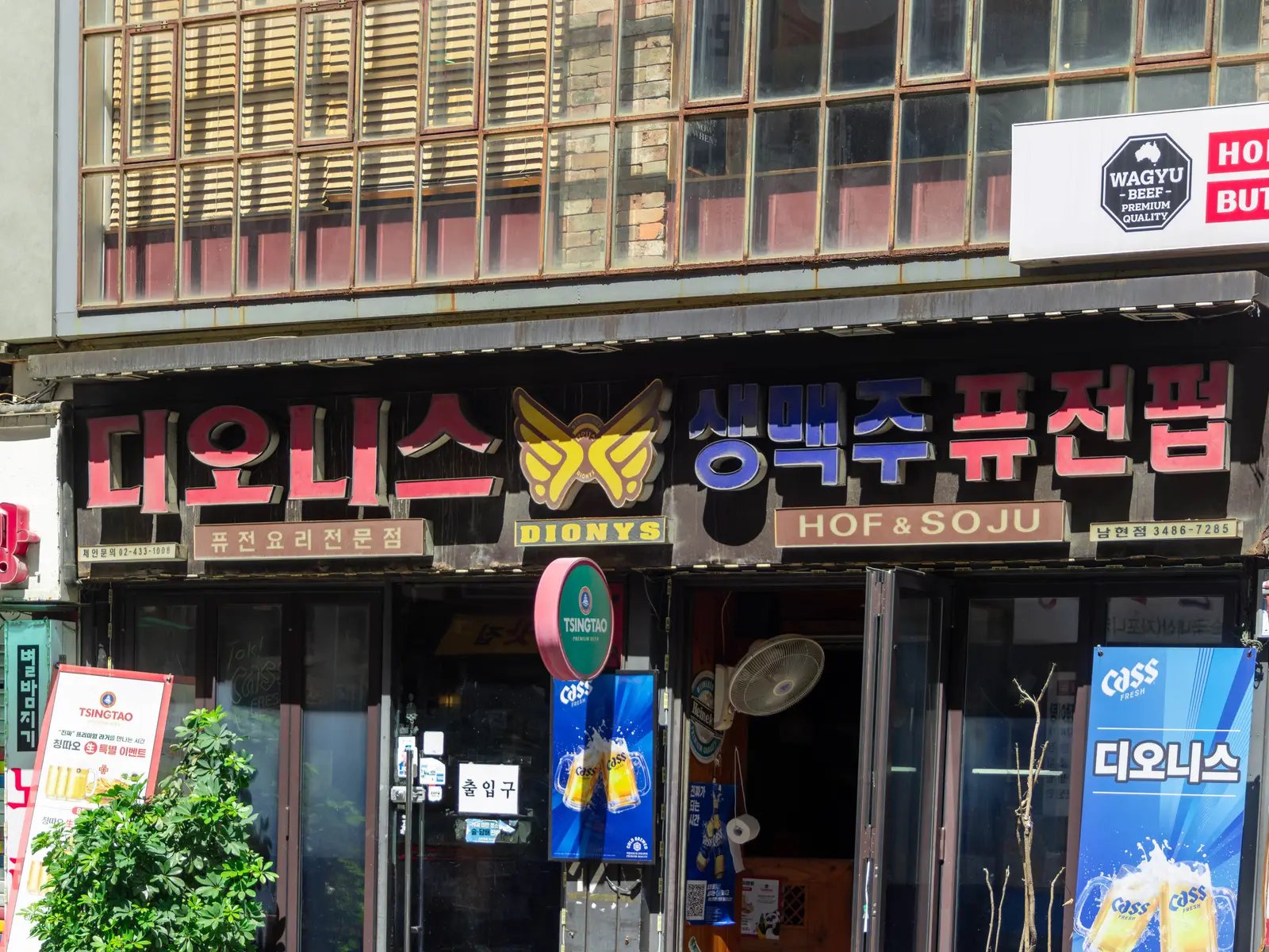 디오니스의 공간