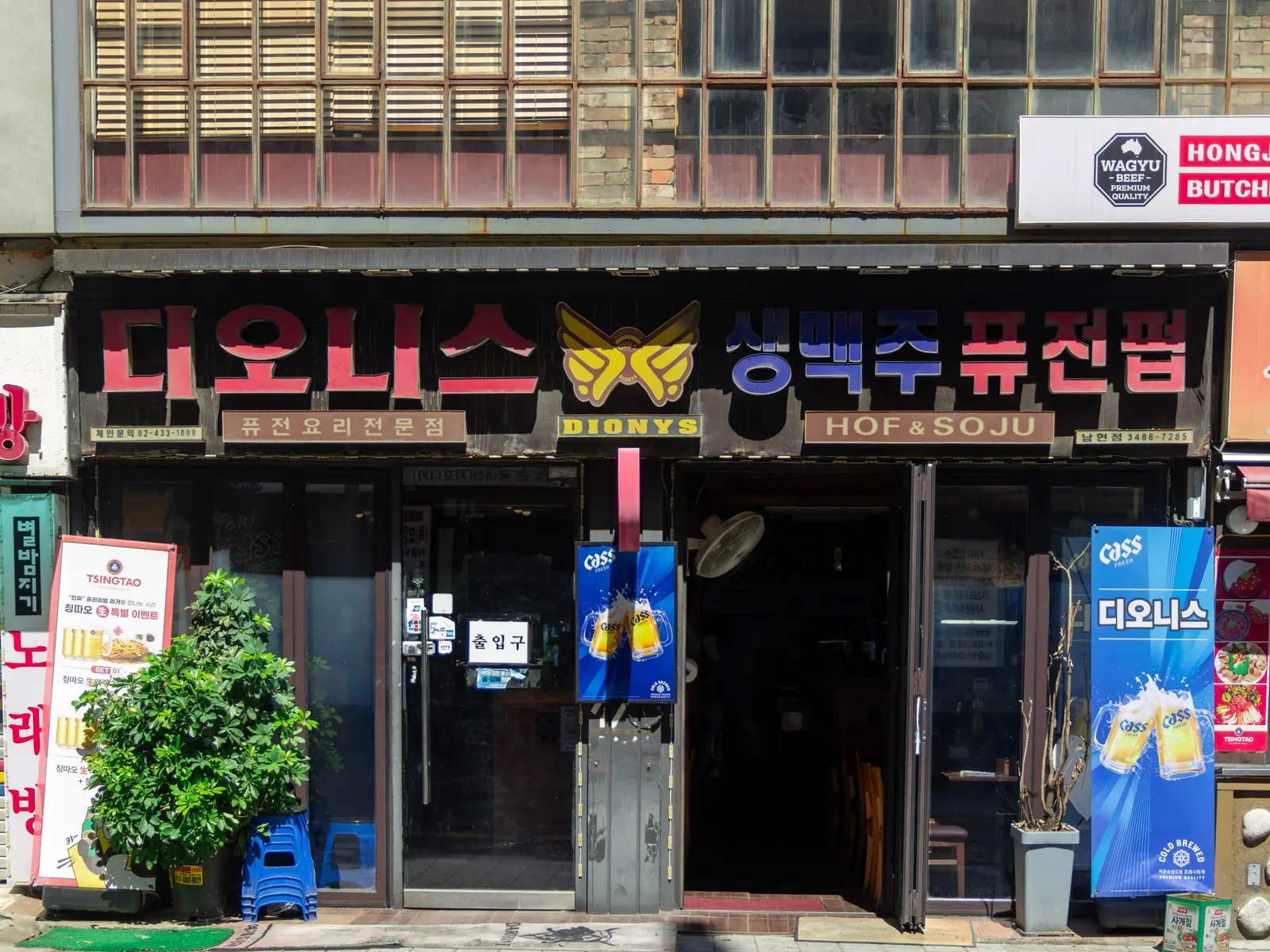 디오니스 사진 2