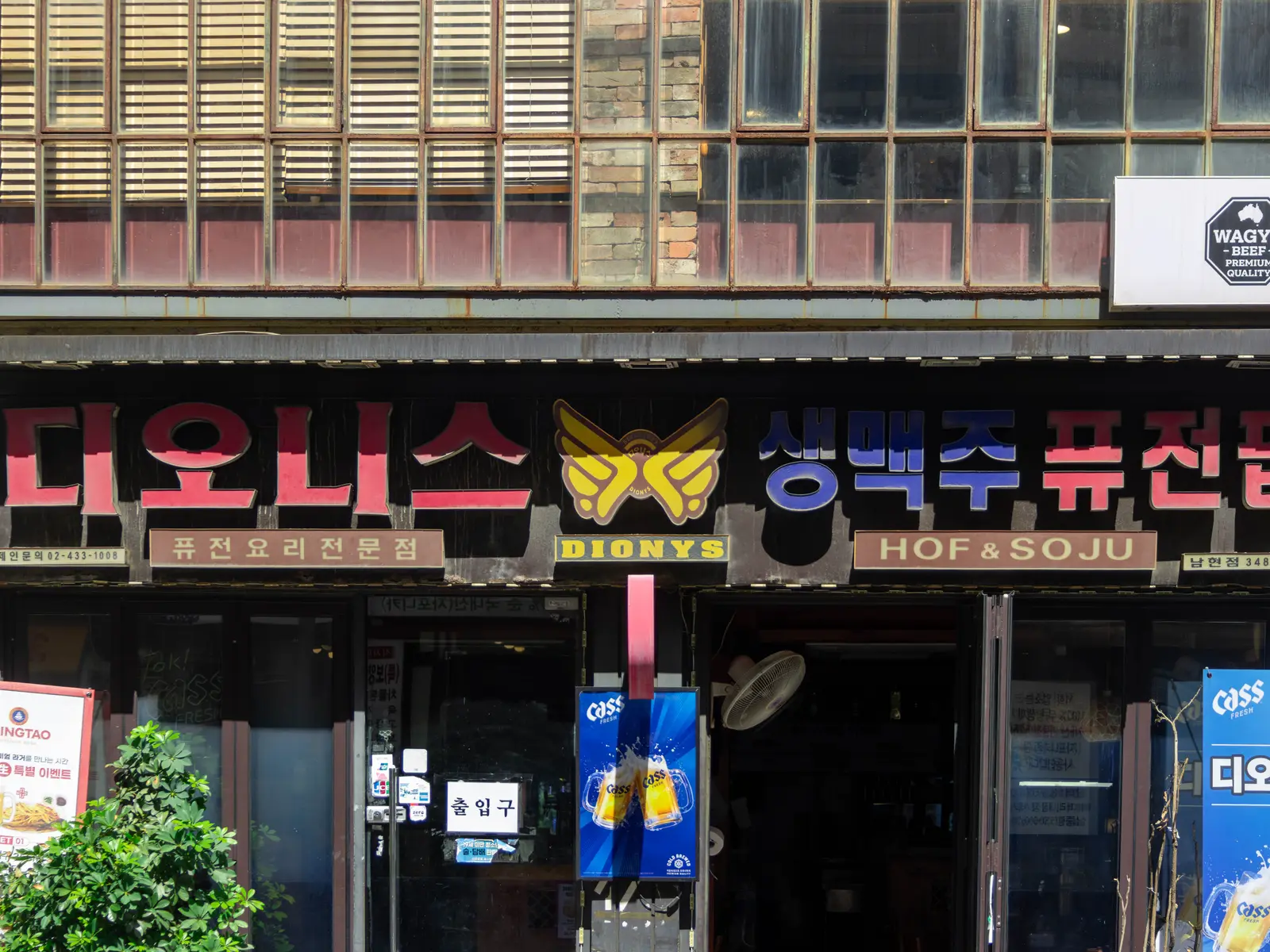 디오니스 사진 3