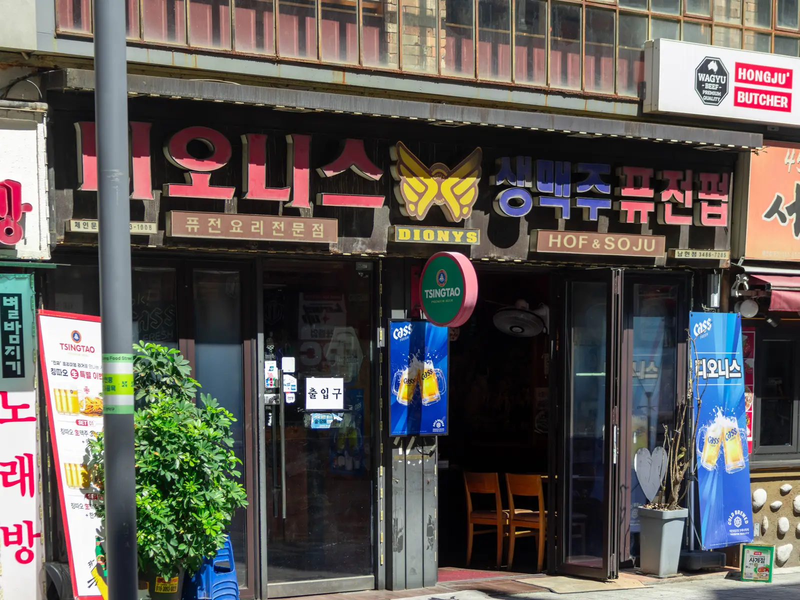 디오니스 사진 5