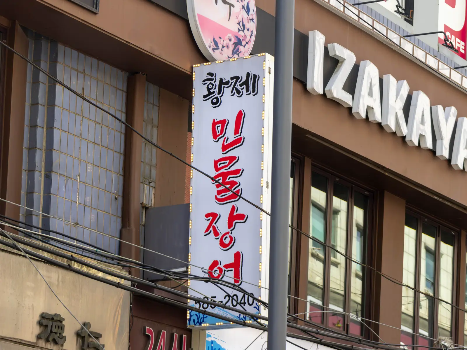 황제풍천민물장어 사진 2